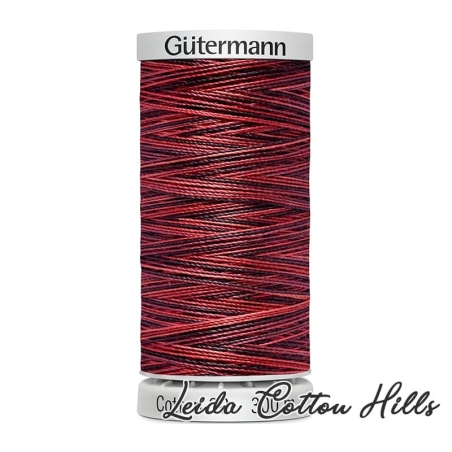 Hilo Sulky 30 wt para bordar, acolchar, sashiko... de Gütermann algodón 300 m Color 4010 ∙ Leida Cotton Hills