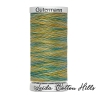 Hilo Sulky 30 wt para bordar, acolchar, sashiko... de Gütermann algodón 300 m Color 4019 ∙ Leida Cotton Hills