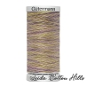 ? Hilos Sulky Matizados 30 wt  - Gutermann∙ Leida Cotton Hills