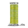 ? Hilos Sulky Matizados 12 wt ∙ Leida Cotton Hills