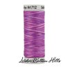 ? Hilos Sulky Matizados 12 wt ∙ Leida Cotton Hills