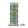 ? Hilos Sulky Matizados 12 wt ∙ Leida Cotton Hills