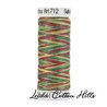 ? Hilos Sulky Matizados 12 wt ∙ Leida Cotton Hills