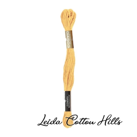 Hilo Cosmo para bordar, madeja mouline 25 de Lecien Color 143 ∙ Leida Cotton Hills