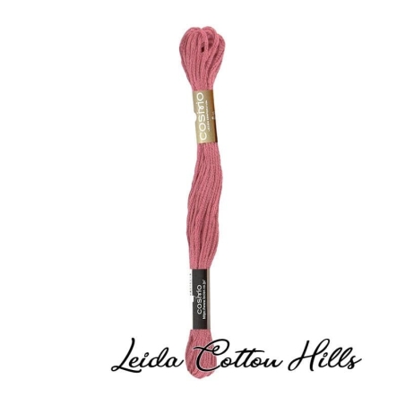 Hilo Cosmo para bordar, madeja mouline 25 de Lecien Color 653 ∙ Leida Cotton Hills