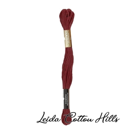 Hilo Cosmo para bordar, madeja mouline 25 de Lecien Color 655 ∙ Leida Cotton Hills