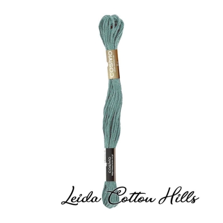 Hilo Cosmo para bordar, madeja mouline 25 de Lecien Color 2981 ∙ Leida Cotton Hills