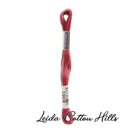 Hilo Seasons 8000 para bordar, madeja mouline 25 de Lecien Color 8061 ∙ Leida Cotton Hills
